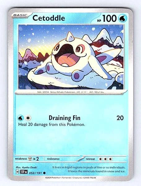 Cetoddle 053/191 Surging Sparks Common NM Pokemon TCG
