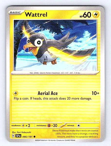 Wattrel 066/191 Surging Sparks Common NM Pokemon TCG